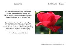 Sommerbild-Hebbel.pdf